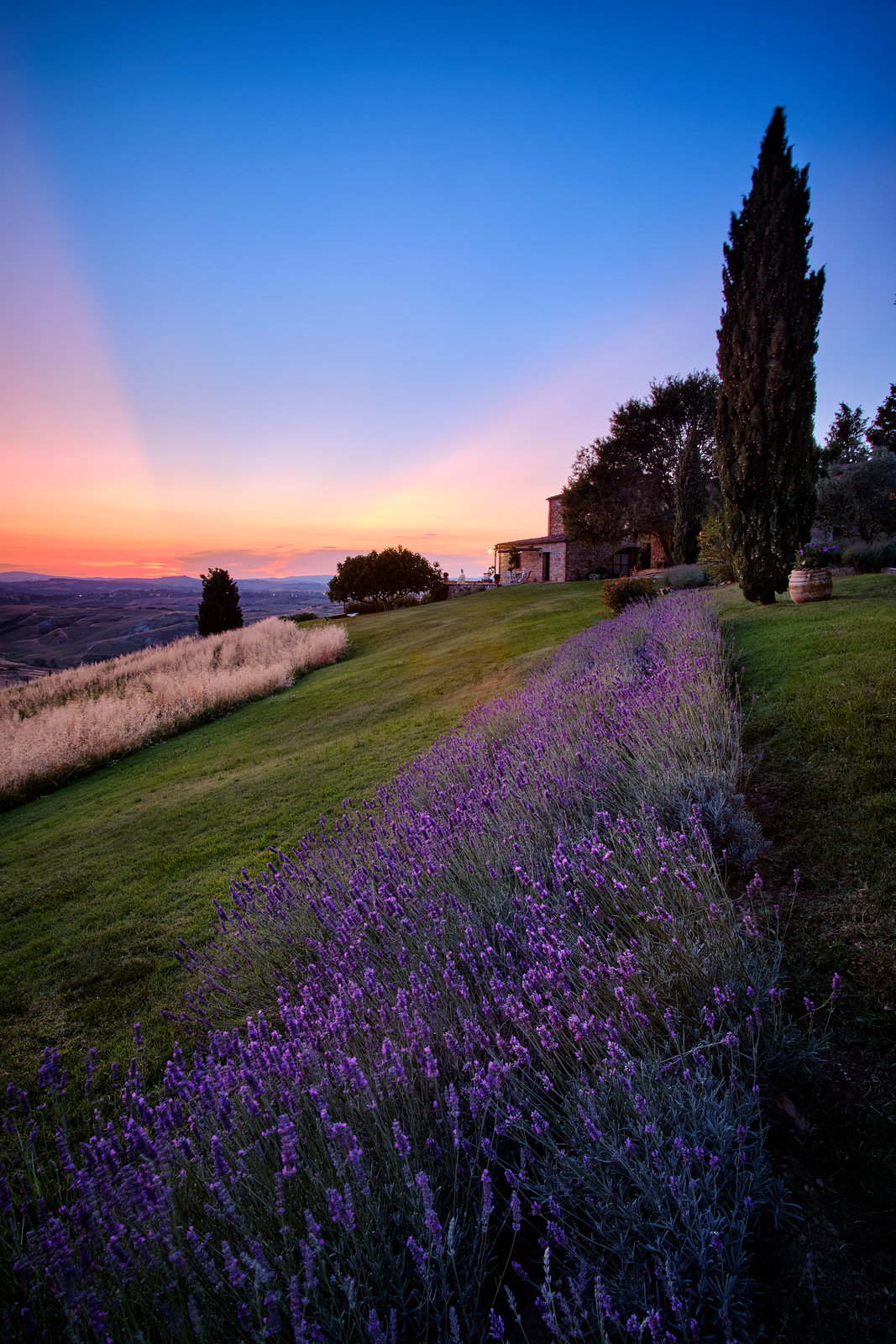 Levandule, Toskánsko